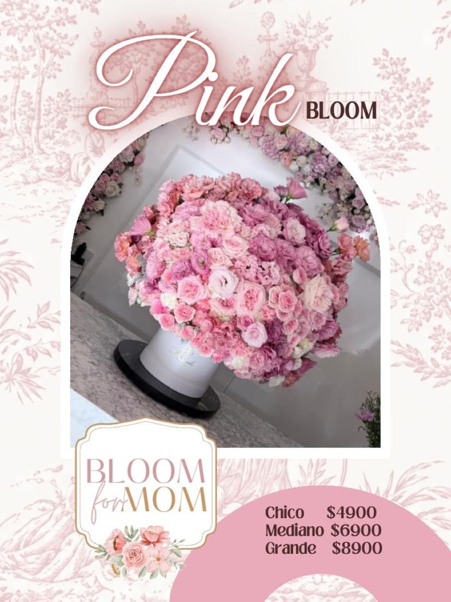 Catálogo Bloom, página 22