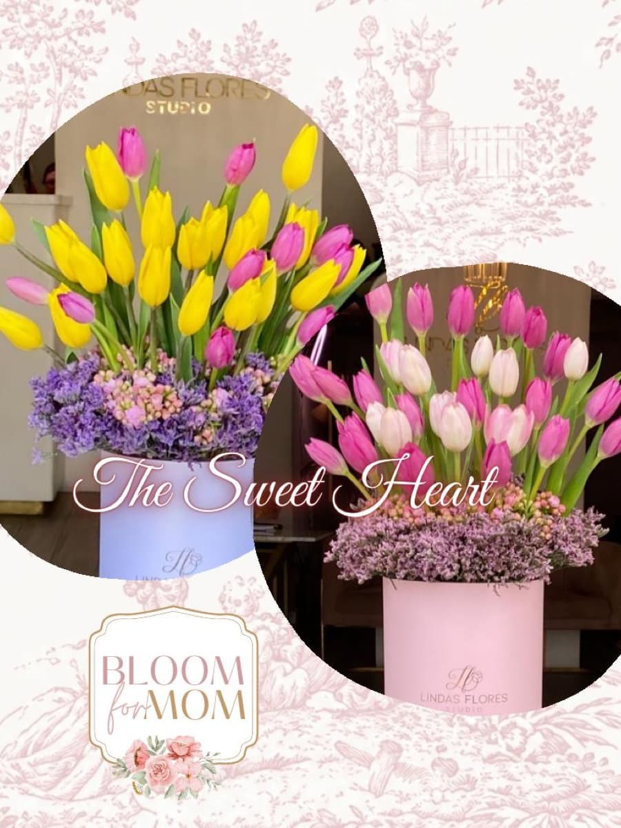 Catálogo Bloom, página 34