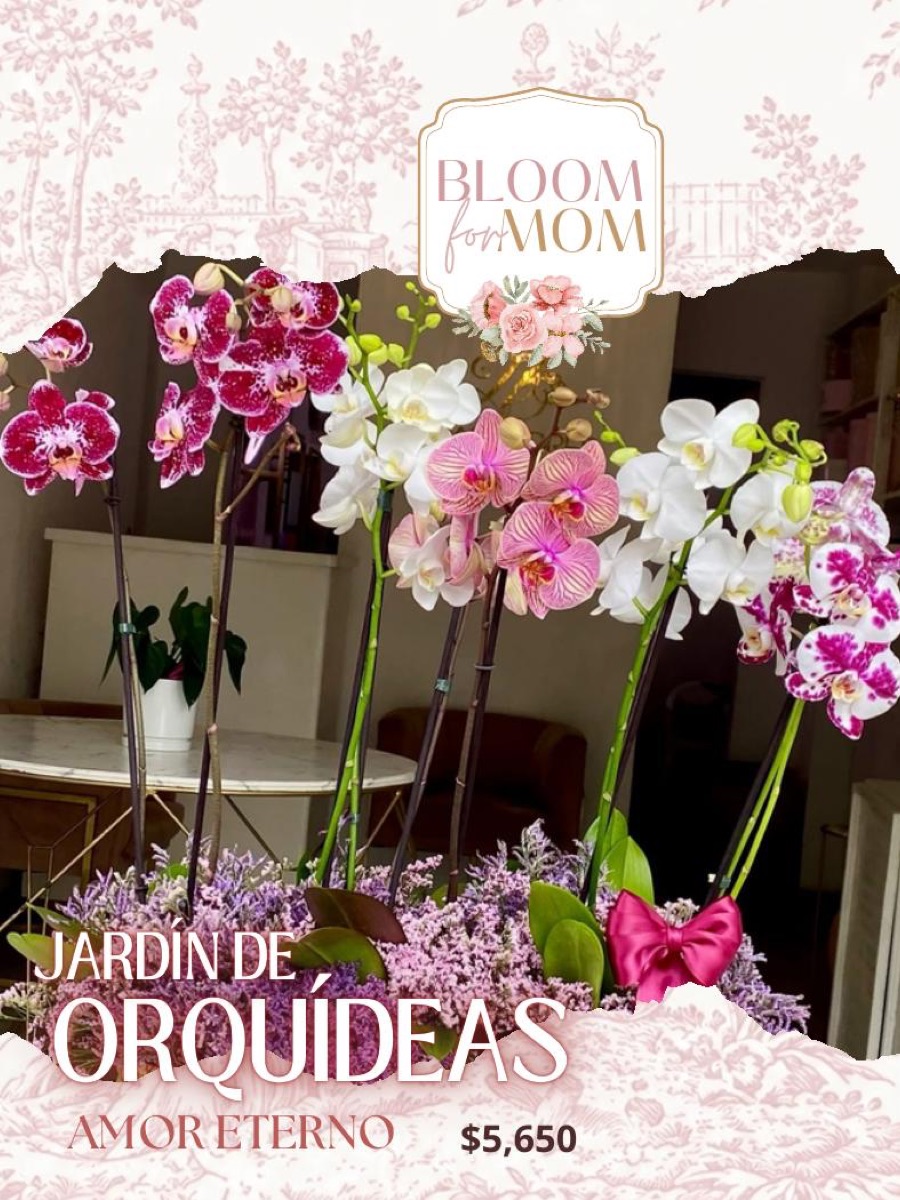 Jardín de Orquídeas · Amor Eterno