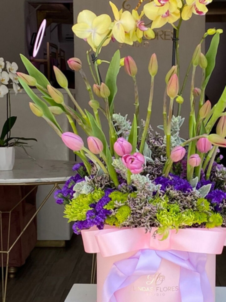Jardín de Tulipanes y Orquídeas