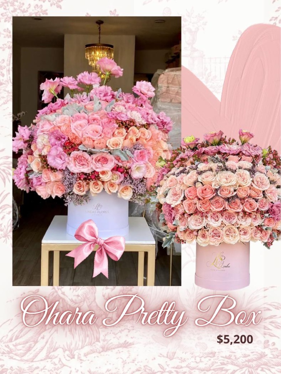 Ohara Pretty Box