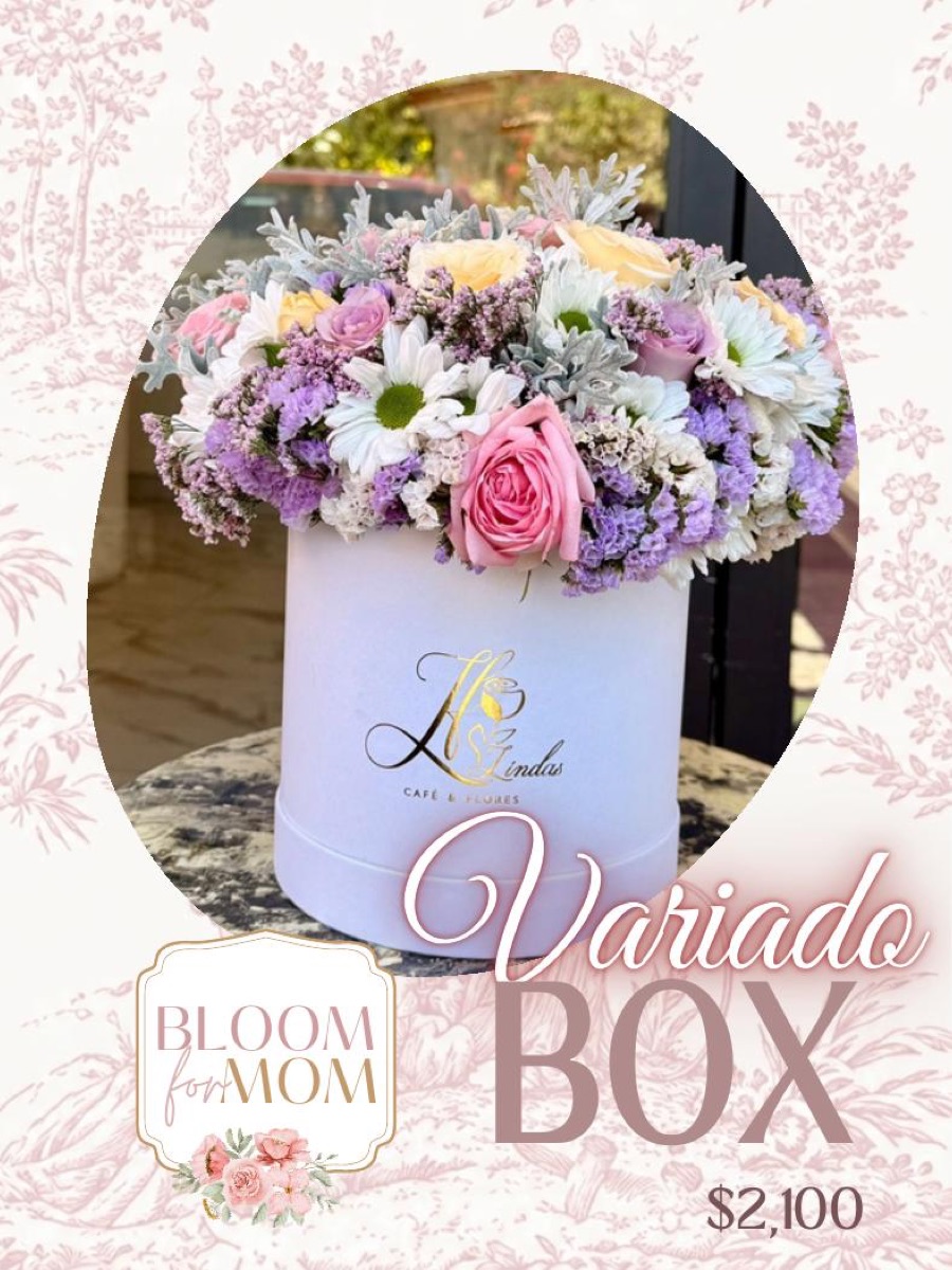 Variado Box